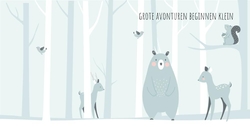 Geboortekaart Olivier - Grote avonturen