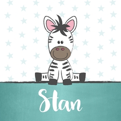 Poster 3 lief zebraatje jongen