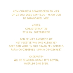 Kraamborrel stippen voetjes