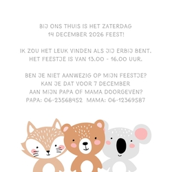 Kraamborrel vrolijke dieren