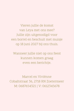 Babyborrel bloemenkrans roze