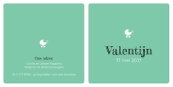 Valentijn - Kinderwagen mintgroen 