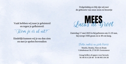 Geboortekaart grote broers bij wieg blauw