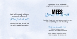 Geboortekaart grote broer bij wieg blauw