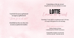 Geboortekaart grote broer bij wieg roze