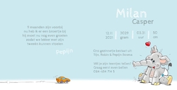 Milan - Lief olifantje aan moeders slurf