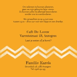Lief vosje 11406610