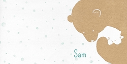 Sam - Moeder- en babybeer 