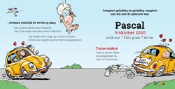 Pascal - Ooievaar bezorgt baby