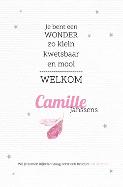 Camille - Roze veertjes 