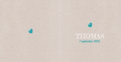 Thomas - Turquoise badeendje 