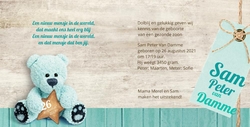 Sam Peter - Turquoise beertje met ster