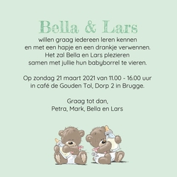 Tweeling beertjes 11702010