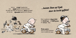 Stan - Verraste ooievaar 