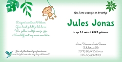 Geboortekaart jungle groen